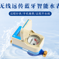 无线远传蓝牙智能水表
